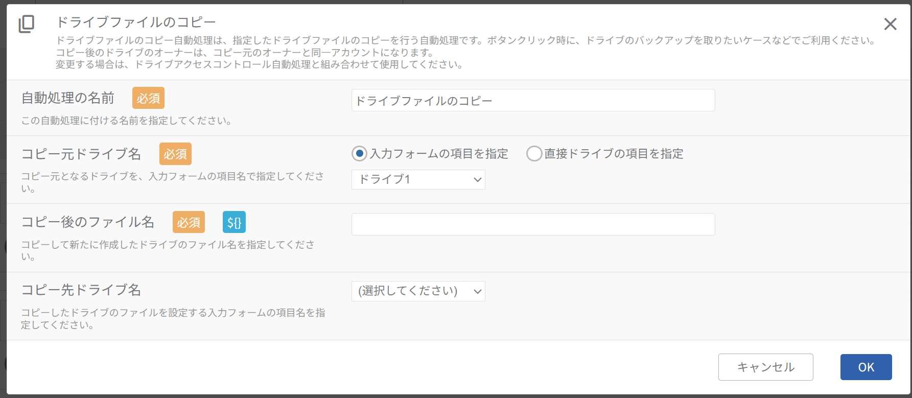 ドライブファイルのコピー自動処理_設定項目.png